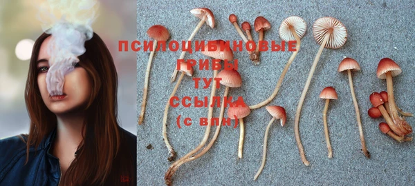 MESCALINE Алексин