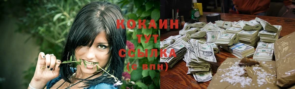 МДПВ Абинск