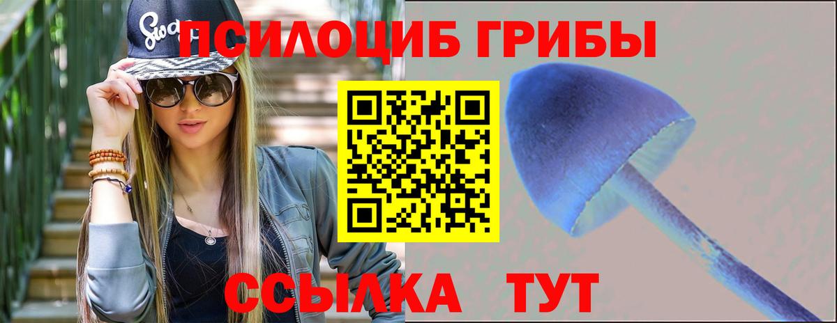 Галлюциногенные грибы GOLDEN TEACHER  Вход с VPN  Добрянка 